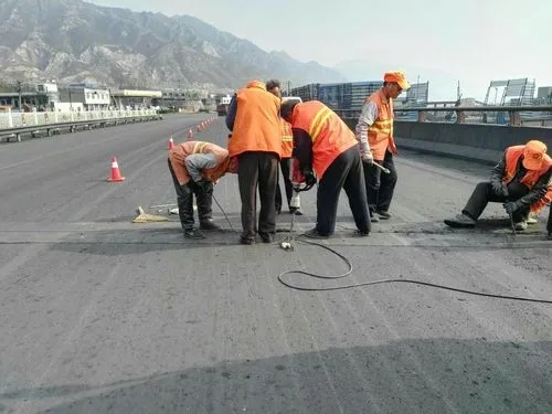 久治道路桥梁病害治理